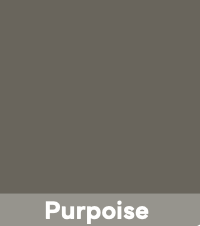 [TX322OZ-P] BSR-3 Polyurethane Repair 22oz (Purpoise)