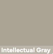 [TX322OZ-IG] BSR-3 Polyurethane Repair 22oz (Intellactual Gray)