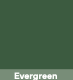 [TX322OZ-E] BSR-3 Polyurethane Repair 22oz (Evergreen)